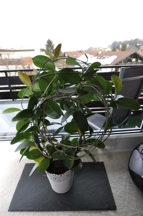 Ferienwohnung-In-Prien Bagian luar foto